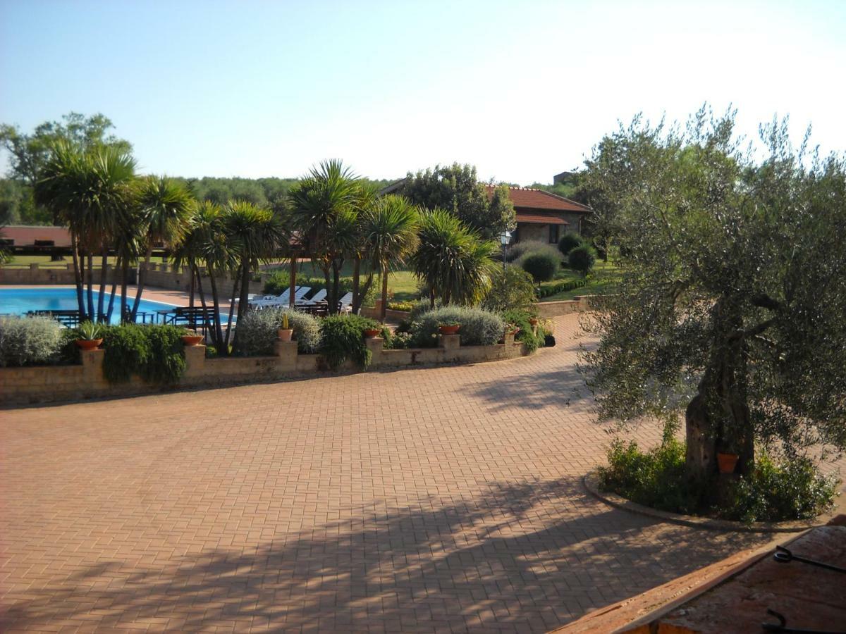 Agriturismo Podere Del Vescovo Montenero d'Orcia Экстерьер фото