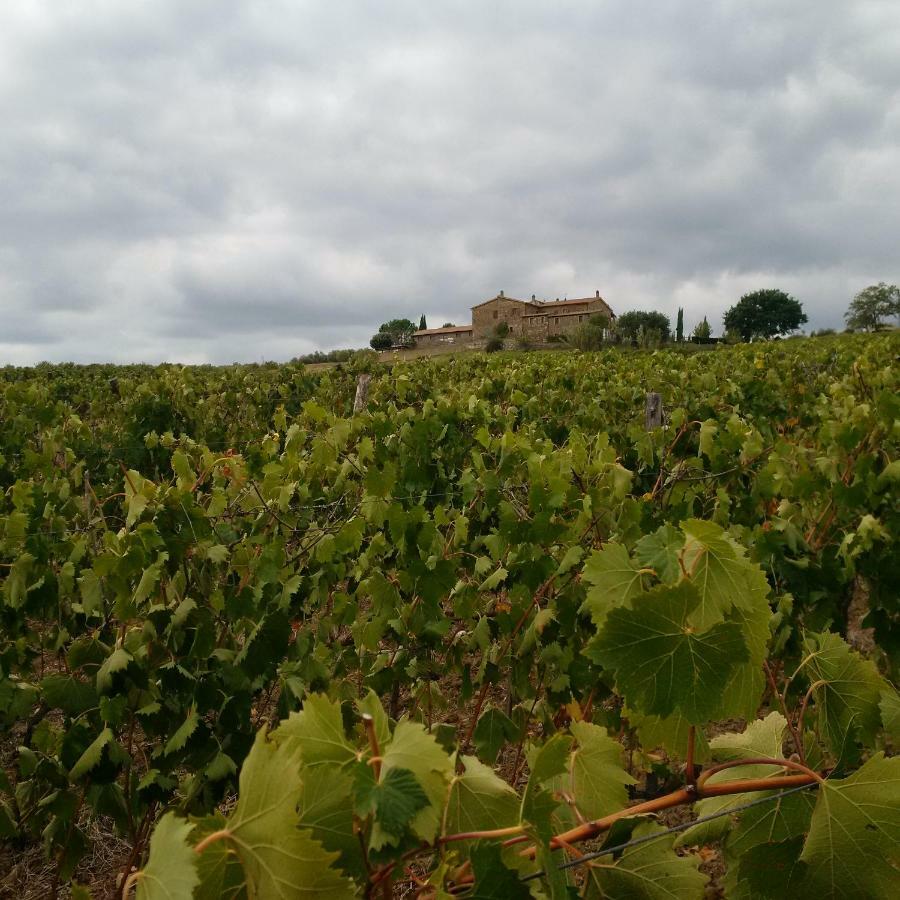 Agriturismo Podere Del Vescovo Montenero d'Orcia Экстерьер фото