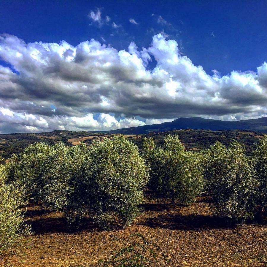 Agriturismo Podere Del Vescovo Montenero d'Orcia Экстерьер фото