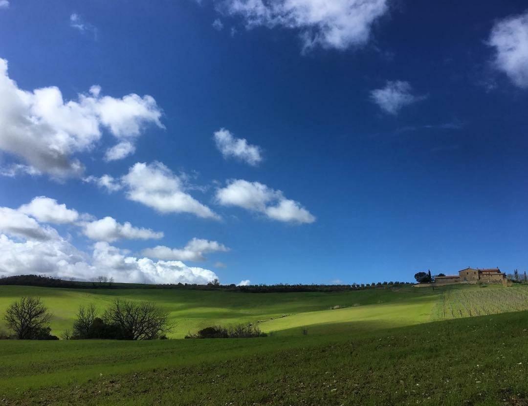 Agriturismo Podere Del Vescovo Montenero d'Orcia Экстерьер фото